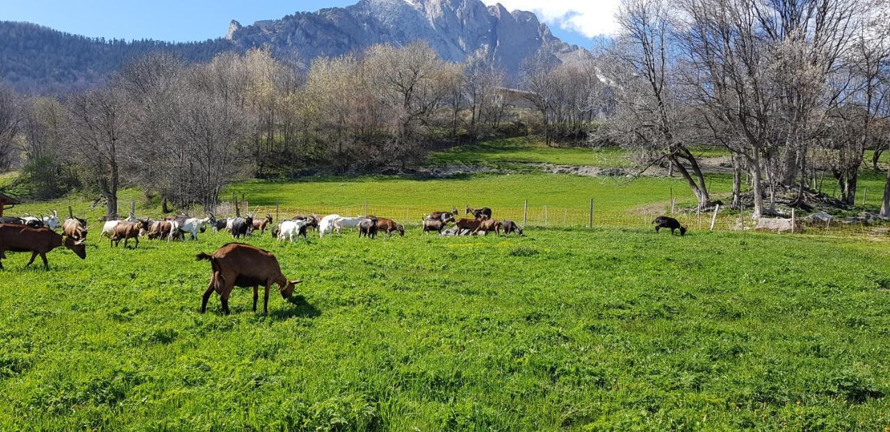 Chambre D'Hotes A La Ferme Beaune  Εξωτερικό φωτογραφία